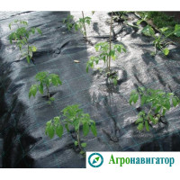 Агроткань Agrojutex 100 гр/м2 (рулон 2,1 х100)