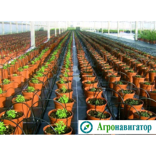 Агроткань Agrocover 100 гр/м2 (рулон 2,1х100) m