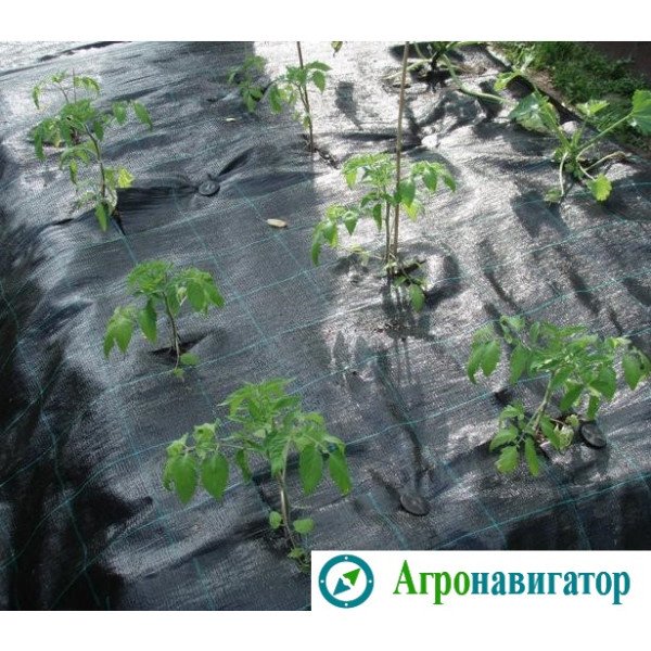 Агроткань Agrojutex 100 гр/м2 (рулон 3,3 х100)
