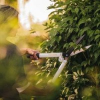Ножницы для живой изгороди Fiskars White HS53