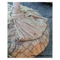 Джутовая нарезанная мешковина для обмотки комов, 100 штук, плотность 105 г м. 120*120 см