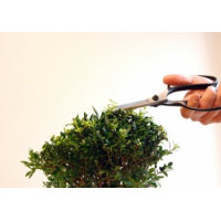 Ножиці Bonsai Okatsune (KST200)