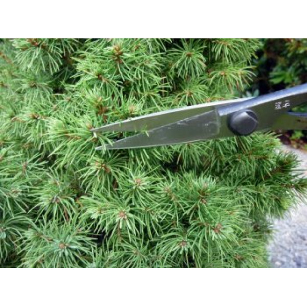 Ножиці Bonsai Okatsune KST206
