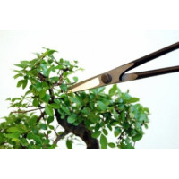 Ножиці Bonsai Okatsune KST206
