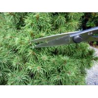 Ножницы Bonsai Okatsune KST206