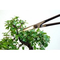 Ножницы Bonsai Okatsune KST206