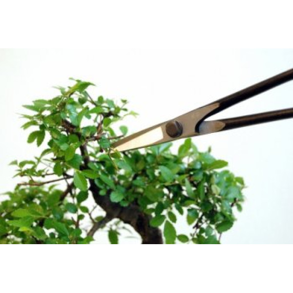 Ножницы Bonsai Okatsune KST206