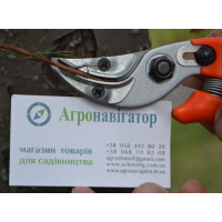 Секатор для квітів LOWE 16.107 Німеччина