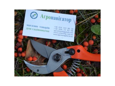 Секатор для обрезки винограда