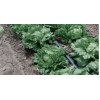 Лента для капельного полива AQUA-TRAXX 16MM, 8MIL, 20 СМ, РАСХОД 1,14 Л/ЧАС, 2286М